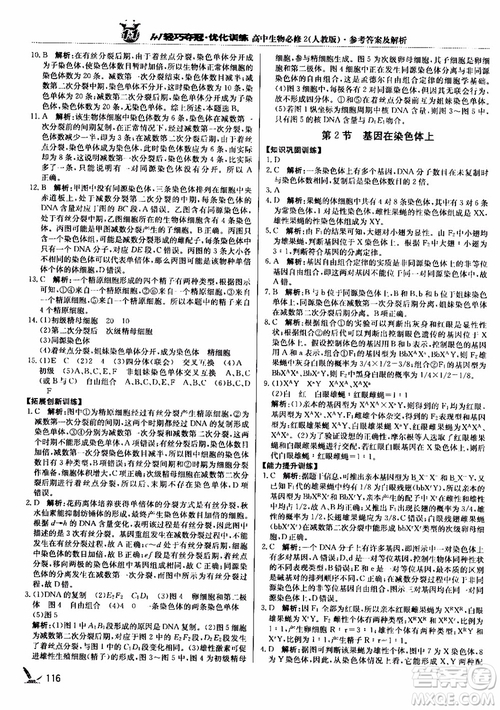 2018新版1+1輕巧奪冠優(yōu)化訓練高中生物必修2人教版參考答案