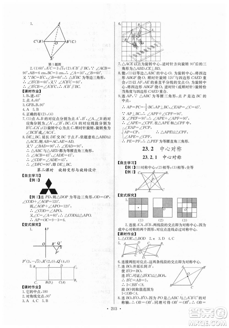 2018年長江全能學(xué)案同步練習(xí)冊九年級全一冊人教版參考答案