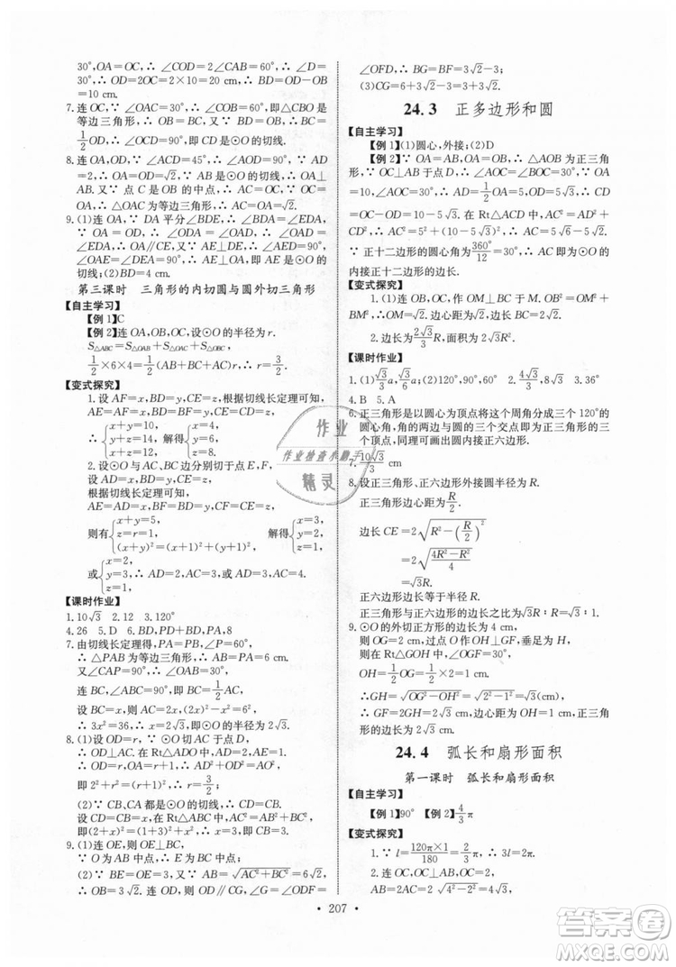 2018年長江全能學(xué)案同步練習(xí)冊九年級全一冊人教版參考答案