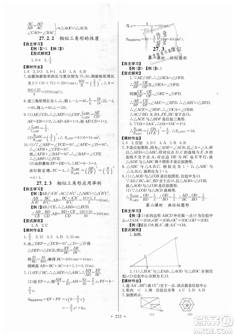 2018年長江全能學(xué)案同步練習(xí)冊九年級全一冊人教版參考答案