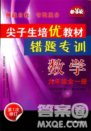 2018年尖子生培優(yōu)教材錯(cuò)題專訓(xùn)九年級(jí)全一冊(cè)數(shù)學(xué)參考答案