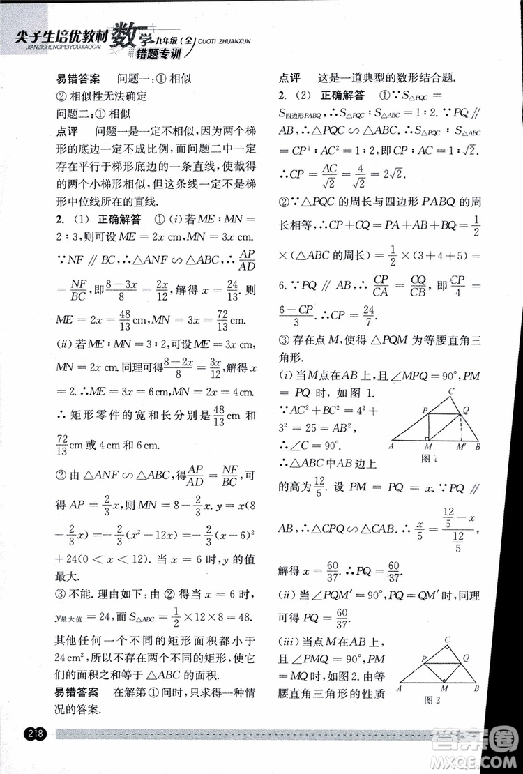 2018年尖子生培優(yōu)教材錯(cuò)題專訓(xùn)九年級(jí)全一冊(cè)數(shù)學(xué)參考答案