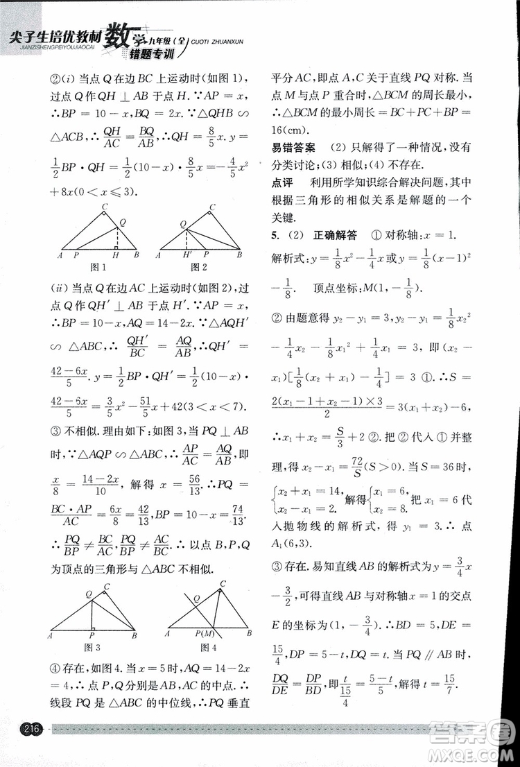 2018年尖子生培優(yōu)教材錯(cuò)題專訓(xùn)九年級(jí)全一冊(cè)數(shù)學(xué)參考答案