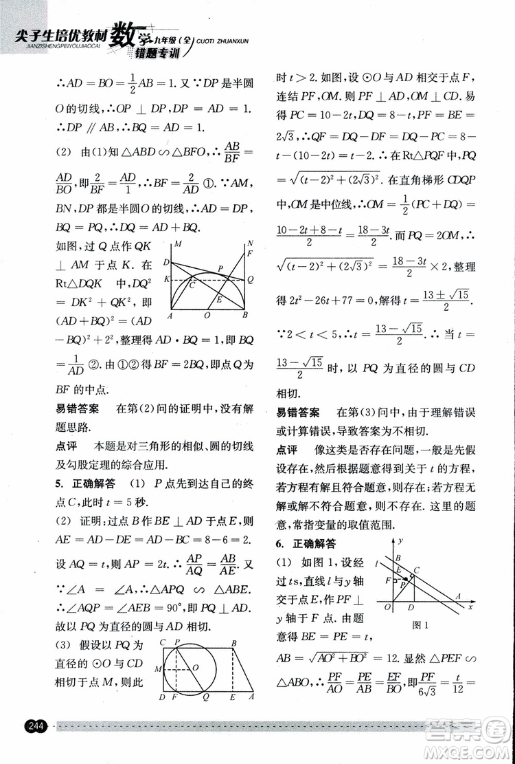 2018年尖子生培優(yōu)教材錯(cuò)題專訓(xùn)九年級(jí)全一冊(cè)數(shù)學(xué)參考答案