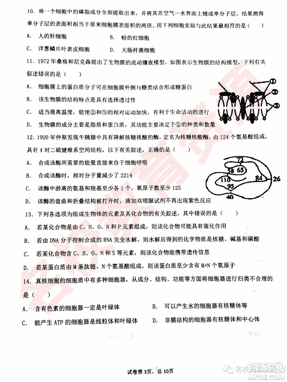 哈三中2018—2019年高一上第二次驗(yàn)收考試生物試卷及答案