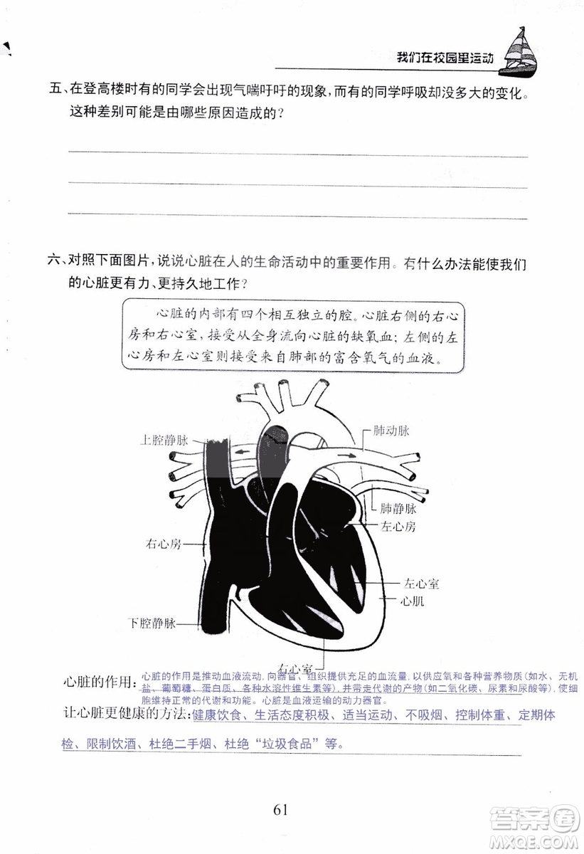 9787535182647長江作業(yè)本同步練習(xí)冊四年級上冊科學(xué)鄂教版參考答案