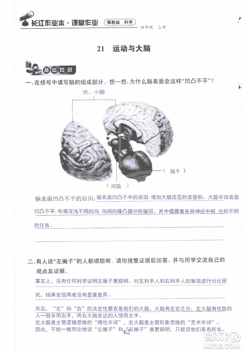 9787535182647長江作業(yè)本同步練習(xí)冊四年級上冊科學(xué)鄂教版參考答案