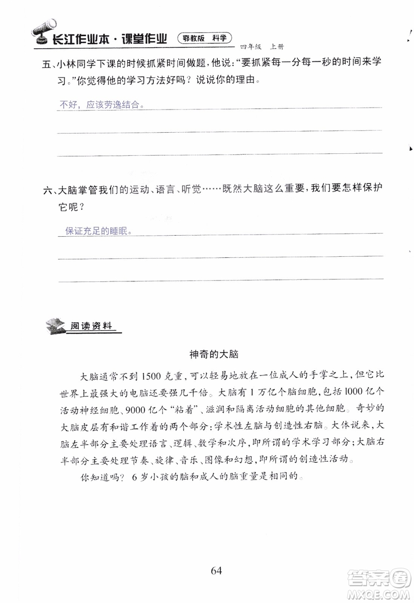 9787535182647長江作業(yè)本同步練習(xí)冊四年級上冊科學(xué)鄂教版參考答案