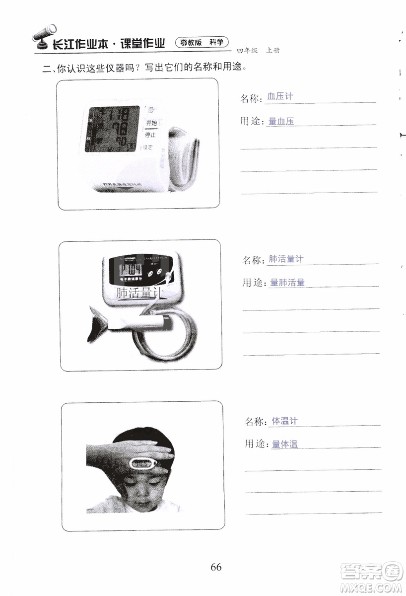 9787535182647長江作業(yè)本同步練習(xí)冊四年級上冊科學(xué)鄂教版參考答案