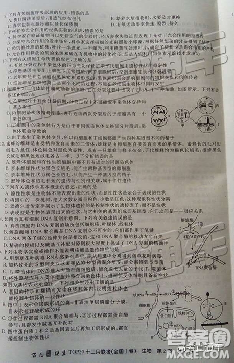 百校聯(lián)盟2019屆TOP20十二月聯(lián)考全國(guó)Ⅰ卷生物試卷及參考答案