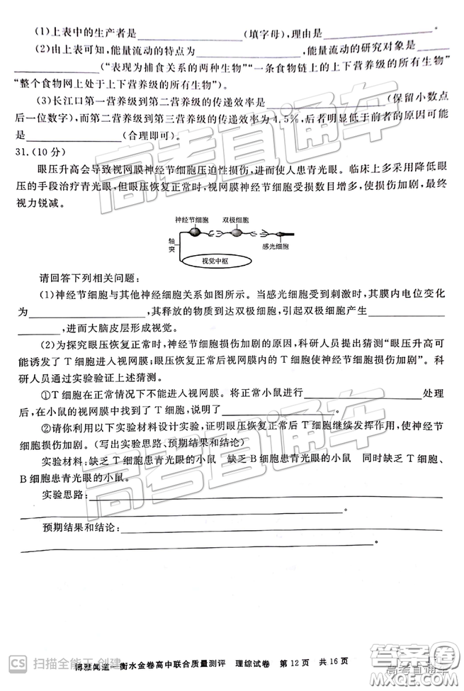 博雅聞道衡水金卷2019屆高三第三次聯(lián)合質(zhì)量測(cè)評(píng)理綜答案