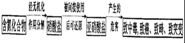 湖北省武漢市部分市級示范2019屆高三12月聯(lián)考語文試卷及答案