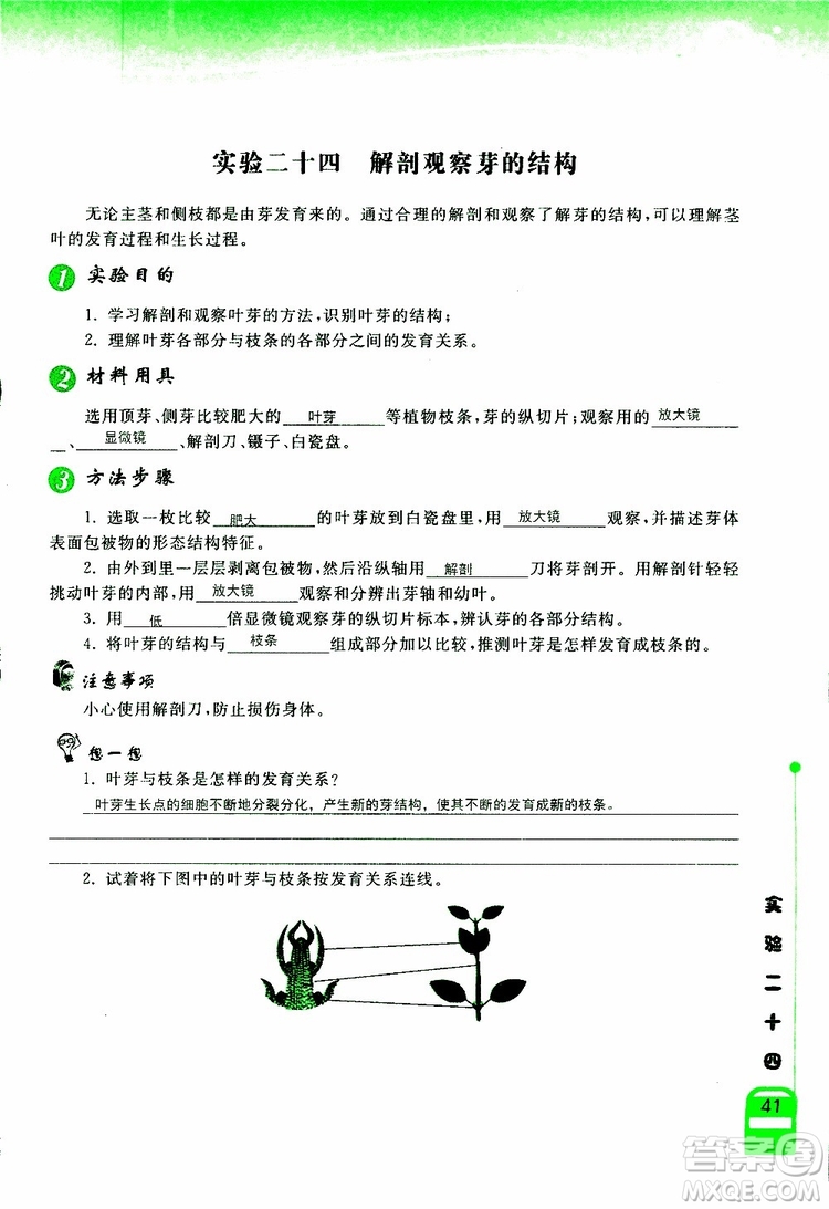 2018年長(zhǎng)江作業(yè)本實(shí)驗(yàn)報(bào)告生物學(xué)七年級(jí)上冊(cè)北師大版參考答案