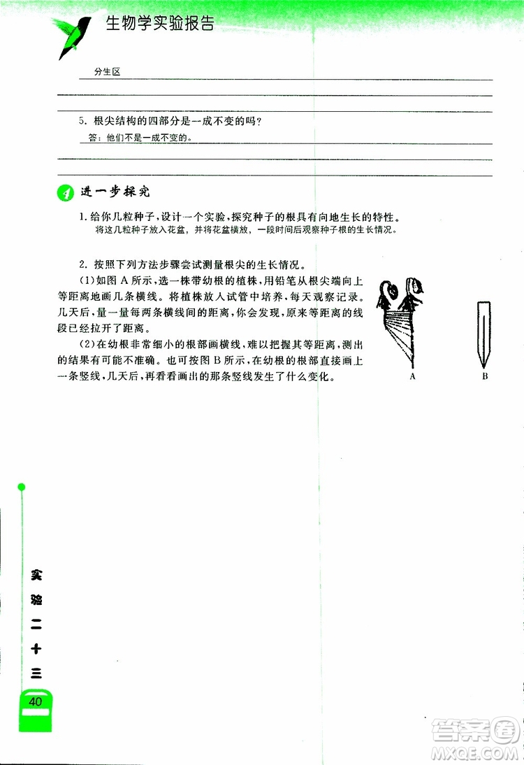 2018年長(zhǎng)江作業(yè)本實(shí)驗(yàn)報(bào)告生物學(xué)七年級(jí)上冊(cè)北師大版參考答案