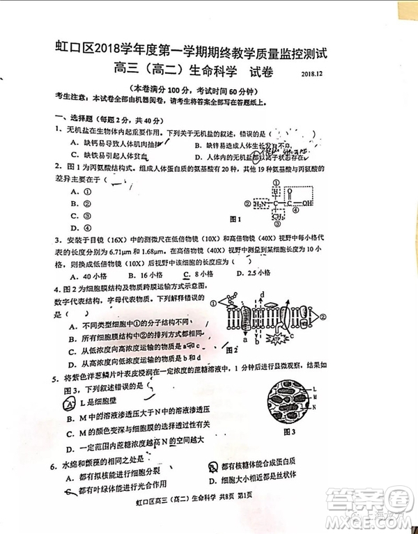 2019屆上海虹口高三一模生命科學試卷答案