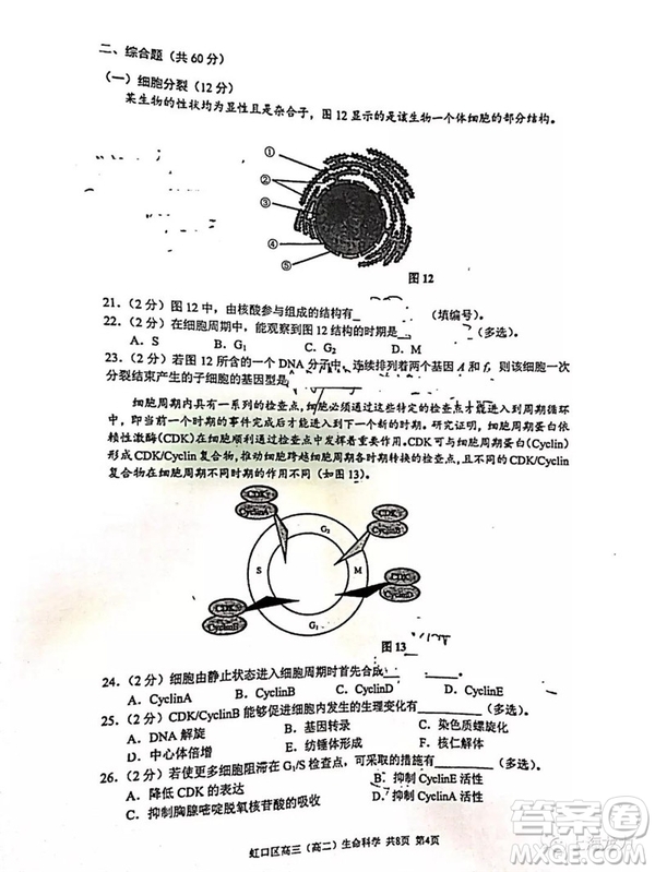 2019屆上海虹口高三一模生命科學試卷答案