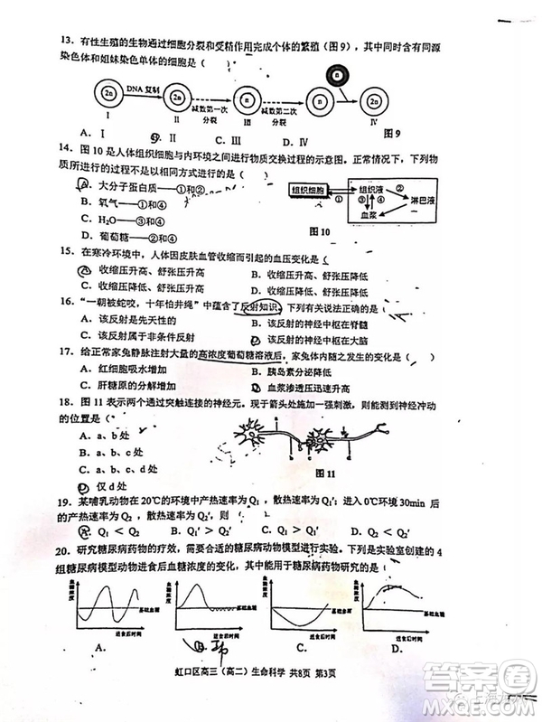 2019屆上海虹口高三一模生命科學試卷答案