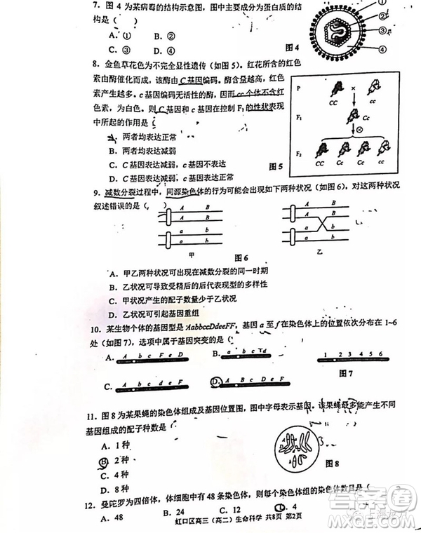2019屆上海虹口高三一模生命科學試卷答案