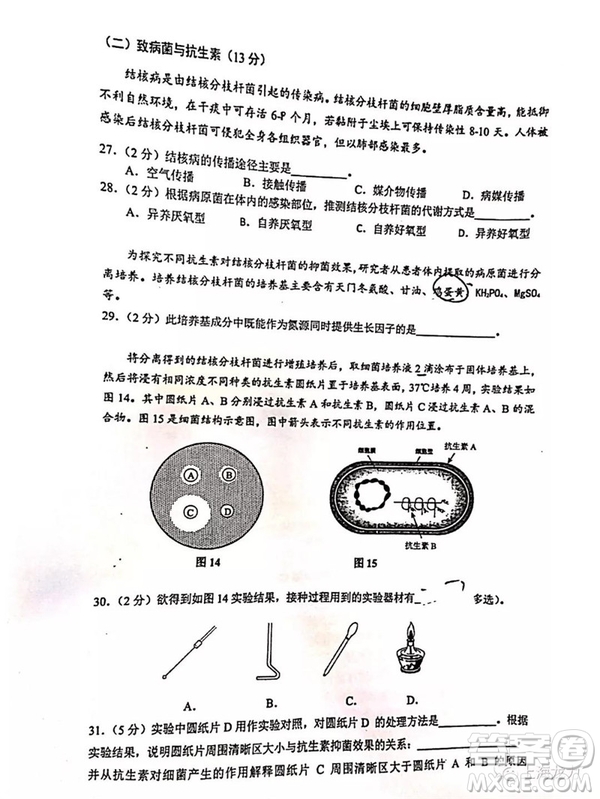 2019屆上海虹口高三一模生命科學試卷答案