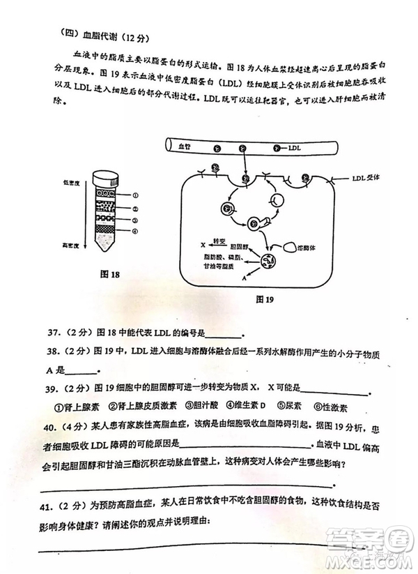 2019屆上海虹口高三一模生命科學試卷答案