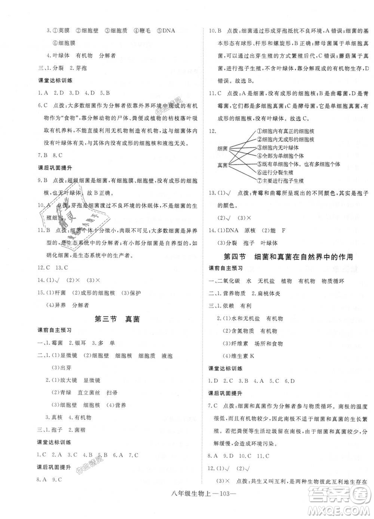 9787543083738優(yōu)翼叢書(shū)2018秋學(xué)練優(yōu)8年級(jí)上冊(cè)RJ人教版答案