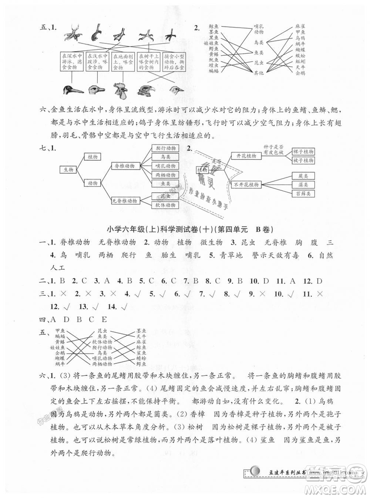 孟建平系列叢書2018年教科版小學單元測試卷六年級上科學9787517809302答案