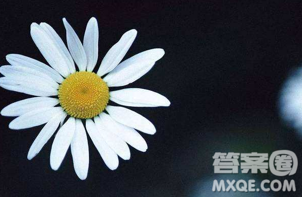 2018-2019貴陽市八年級上學期期末考試英語答案