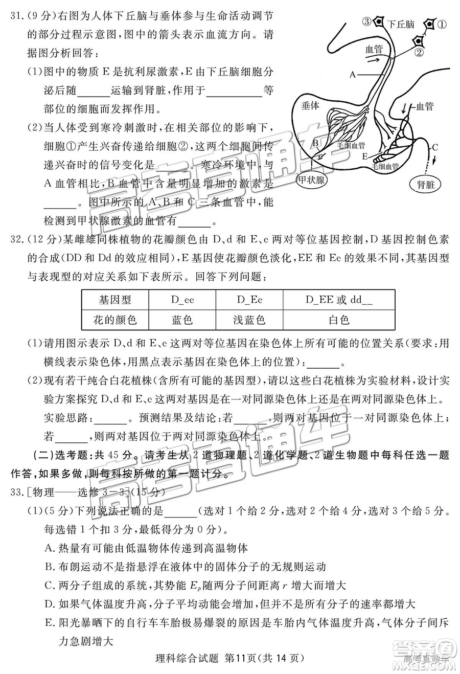 2019四川省眉山、遂寧、廣安、內江四市聯(lián)考理綜試題及參考答案