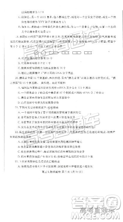 2019鄭州一測理綜試題及參考答案