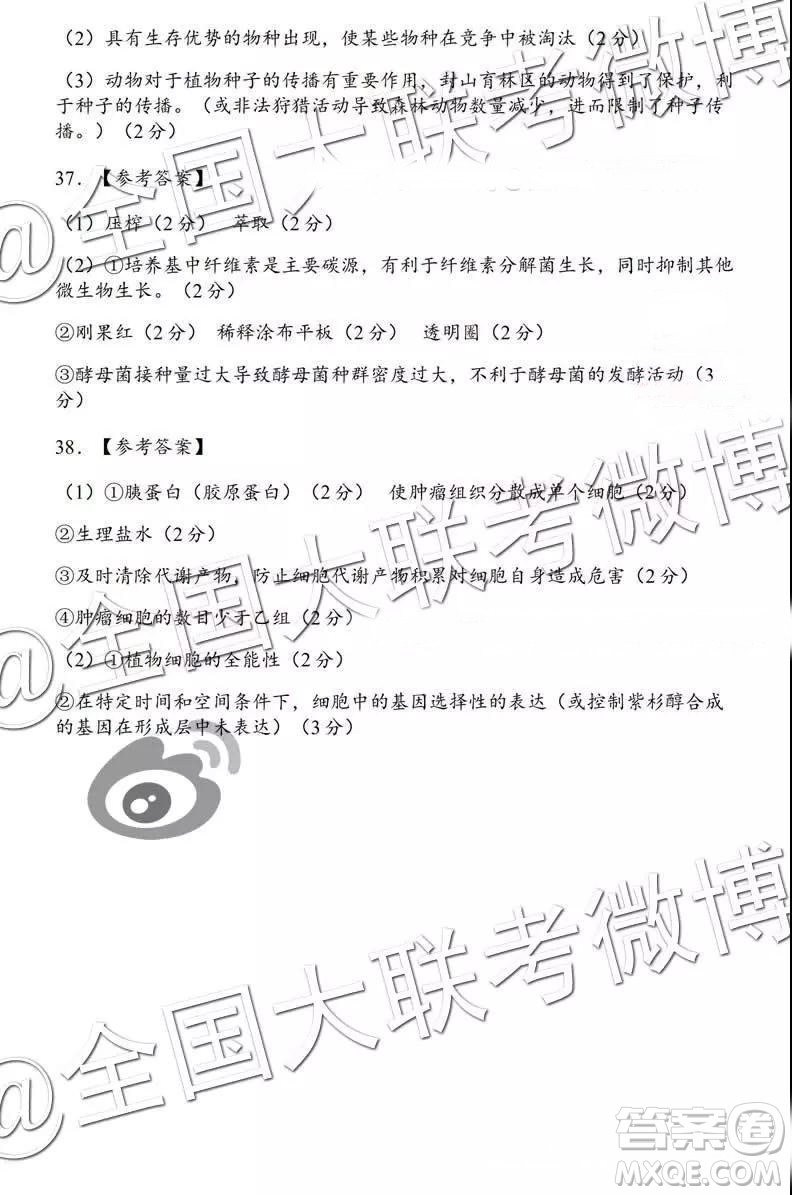 湖北省2019年元月高考模擬調(diào)研考試?yán)砭C答案解析