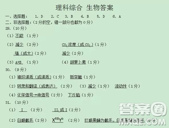 2018-2019學(xué)年度上學(xué)期沈陽市郊聯(lián)體期末考試高三理科綜合試題答案