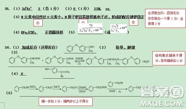 2018-2019學(xué)年度上學(xué)期沈陽市郊聯(lián)體期末考試高三理科綜合試題答案