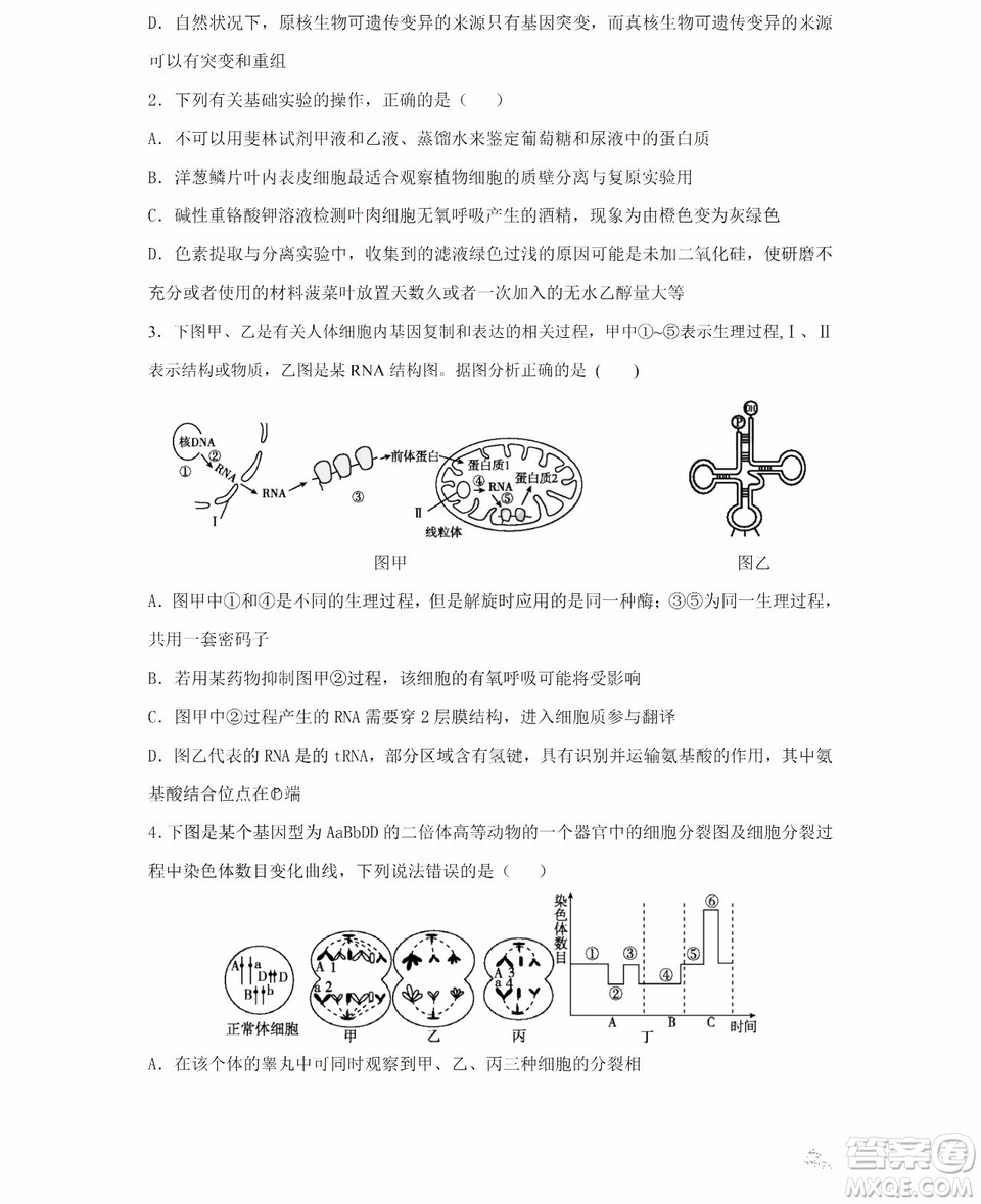 哈爾濱市第六中學(xué)2018-2019學(xué)年度上學(xué)期期末考試高三理科綜合試題及答案