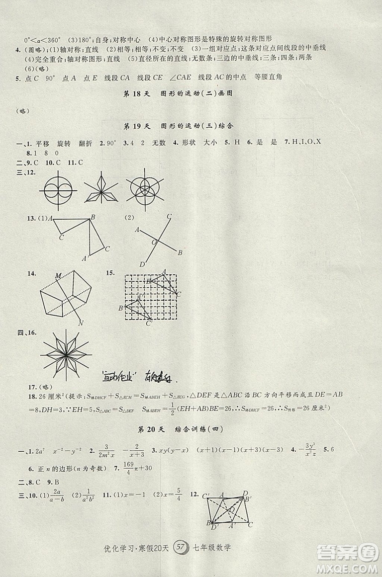 上海地區(qū)專(zhuān)用2019年優(yōu)化學(xué)習(xí)寒假20天寒假作業(yè)數(shù)學(xué)七年級(jí)數(shù)學(xué)參考答案