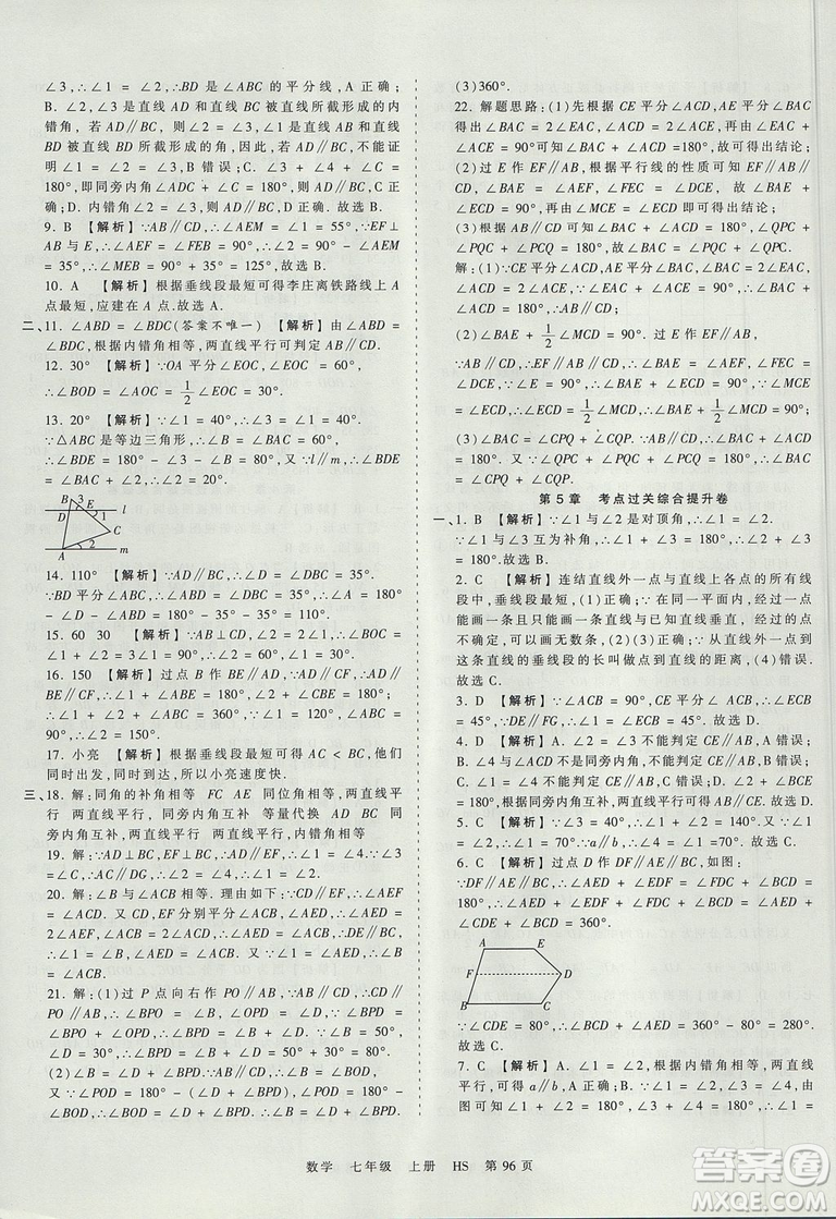 華師版HS2019版王朝霞考點梳理時習卷七年級上冊數(shù)學參考答案