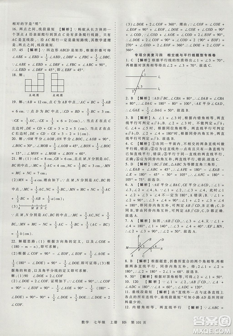 華師版HS2019版王朝霞考點梳理時習卷七年級上冊數(shù)學參考答案