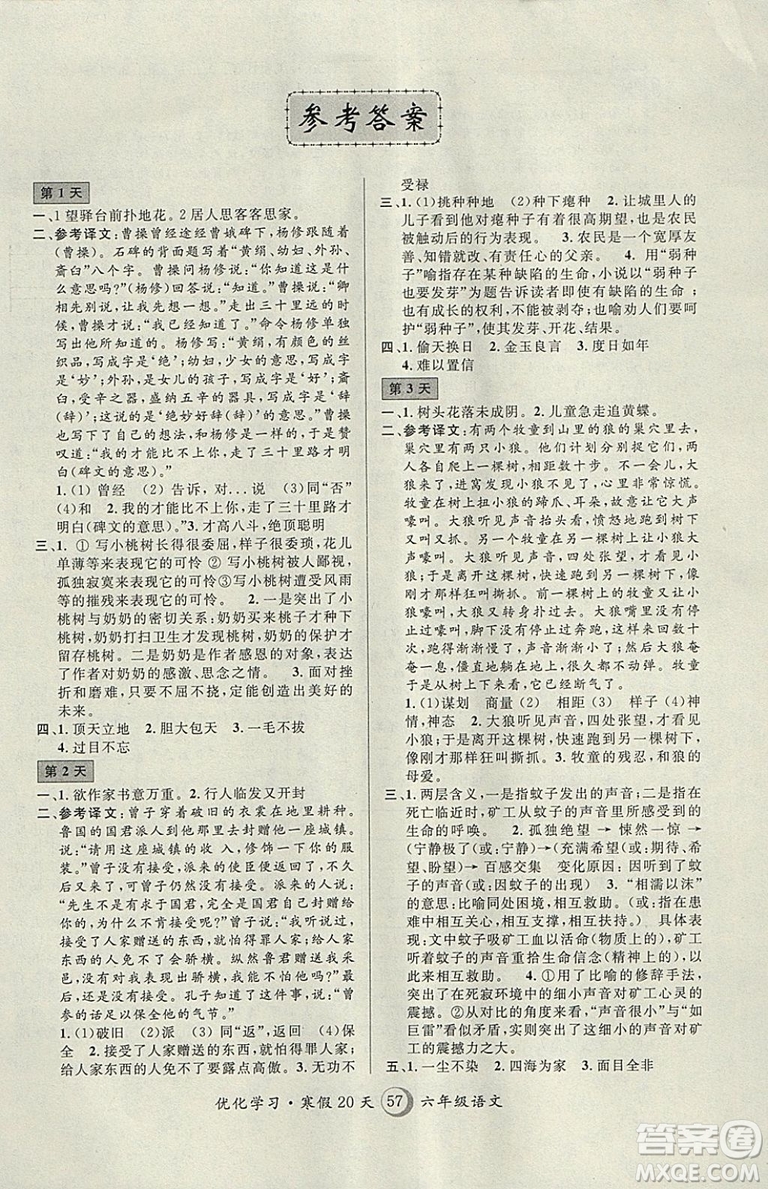 2019優(yōu)化學(xué)習(xí)寒假20天第8版寒假作業(yè)語(yǔ)文六年級(jí)語(yǔ)文滬教版參考答案