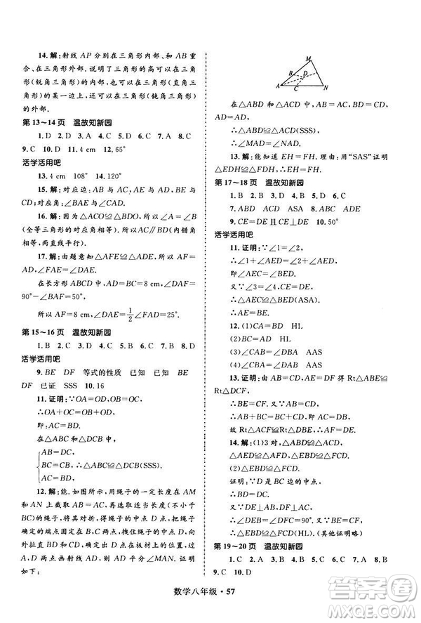 2019年贏在起跑線中學生快樂寒假8年級數(shù)學參考答案