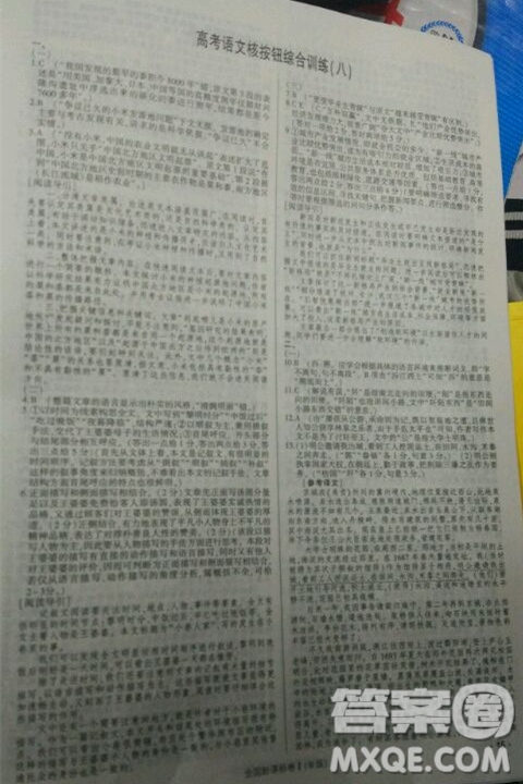 2019高考語文核按鈕綜合訓(xùn)練全國課標(biāo)卷B版答案