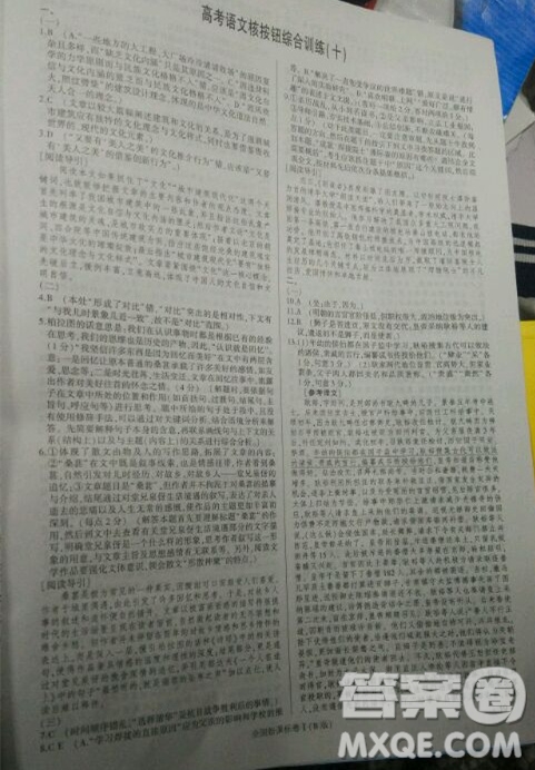 2019高考語文核按鈕綜合訓(xùn)練全國課標(biāo)卷B版答案