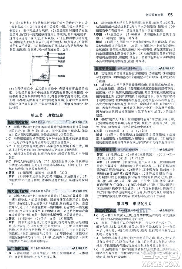 2019新版5年中考3年模擬七年級(jí)上冊(cè)生物人教版RJ參考答案