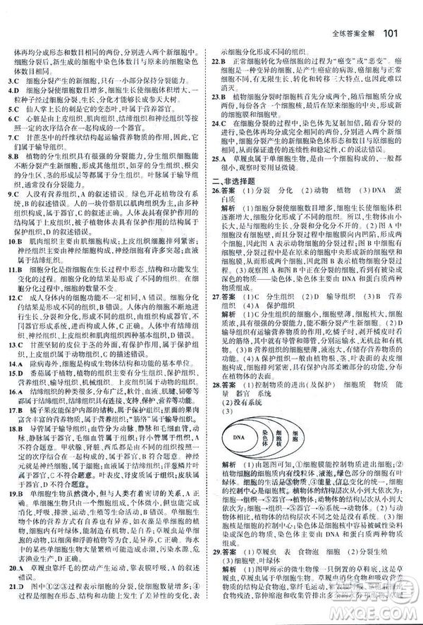 2019新版5年中考3年模擬七年級(jí)上冊(cè)生物人教版RJ參考答案