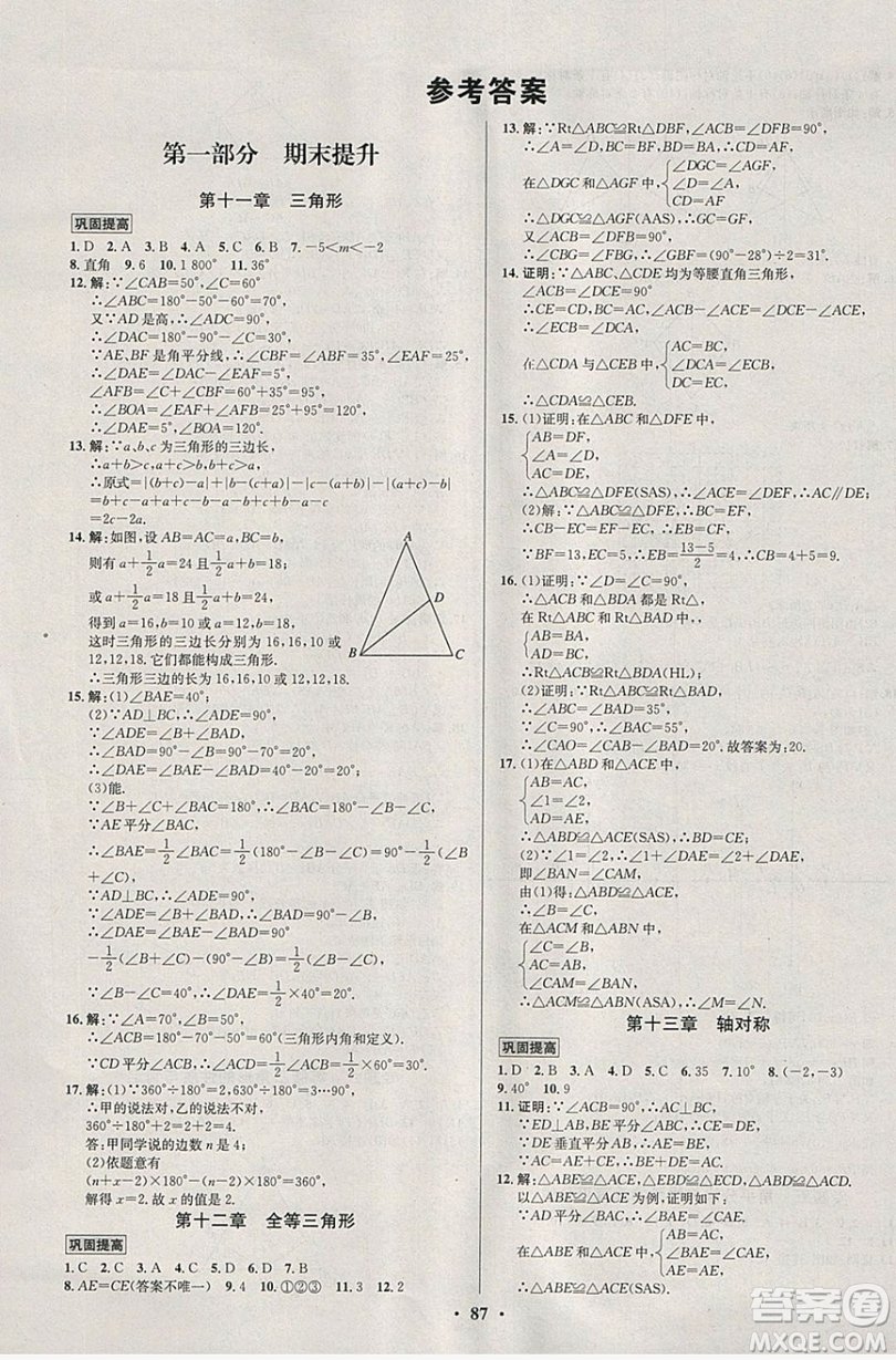 七彩假期期末大提升2019年寒假作業(yè)八年級(jí)數(shù)學(xué)答案