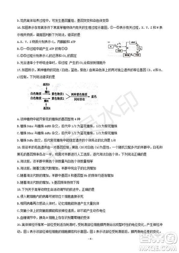 2019屆湖南省岳陽市高三教學質量檢測一生物試題及答案