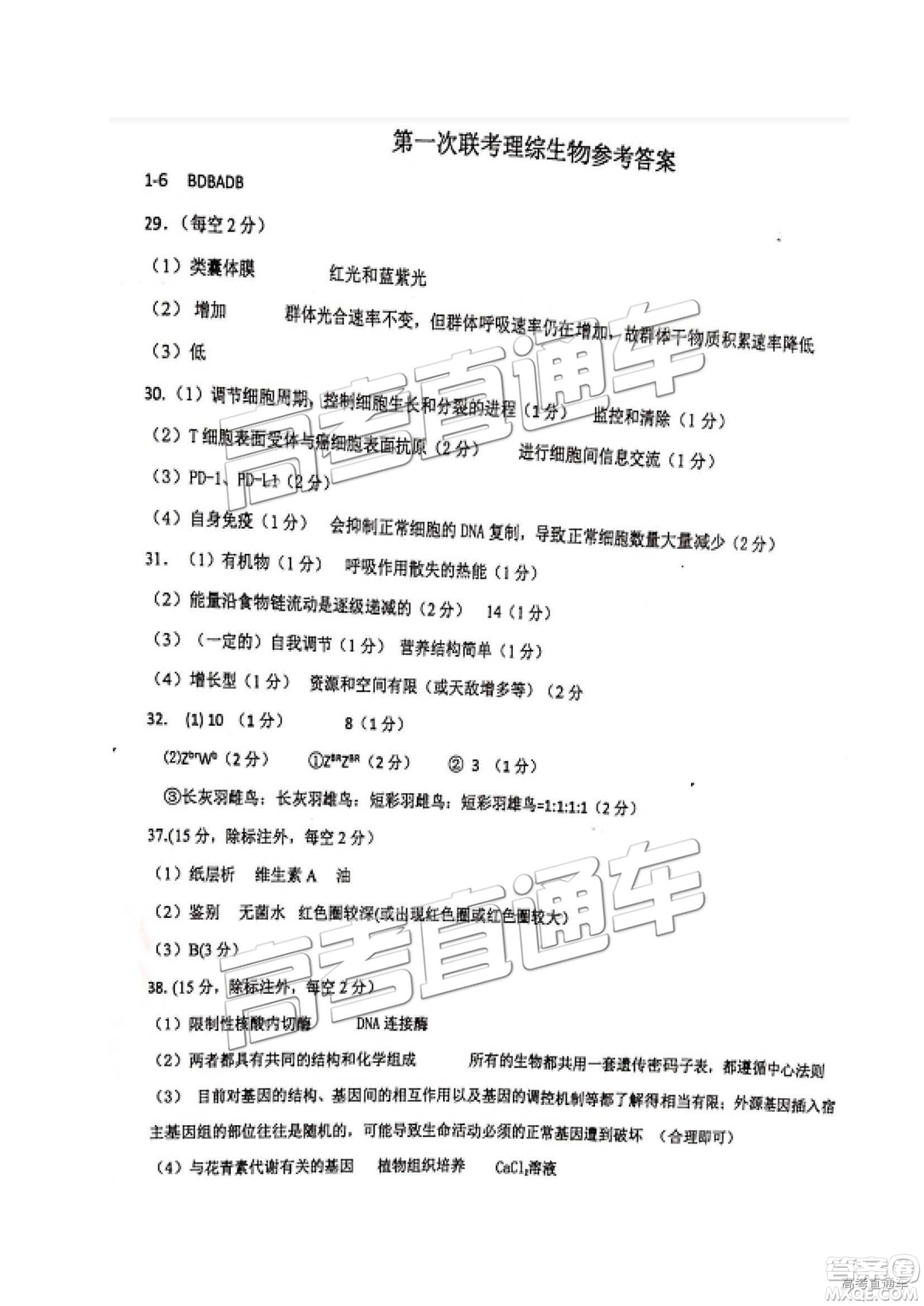 2019年江西重點(diǎn)中學(xué)協(xié)作體高三第一次聯(lián)考理綜試題及參考答案