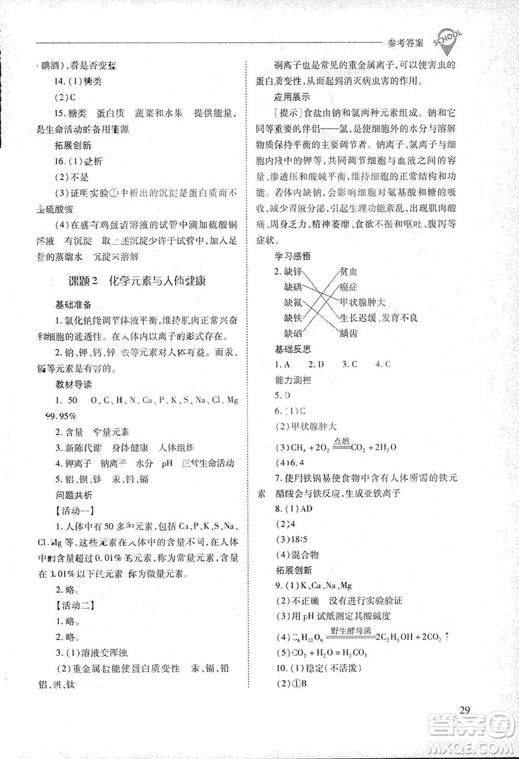 2019新課程問題解決導(dǎo)學(xué)方案九年級下冊化學(xué)人教版答案