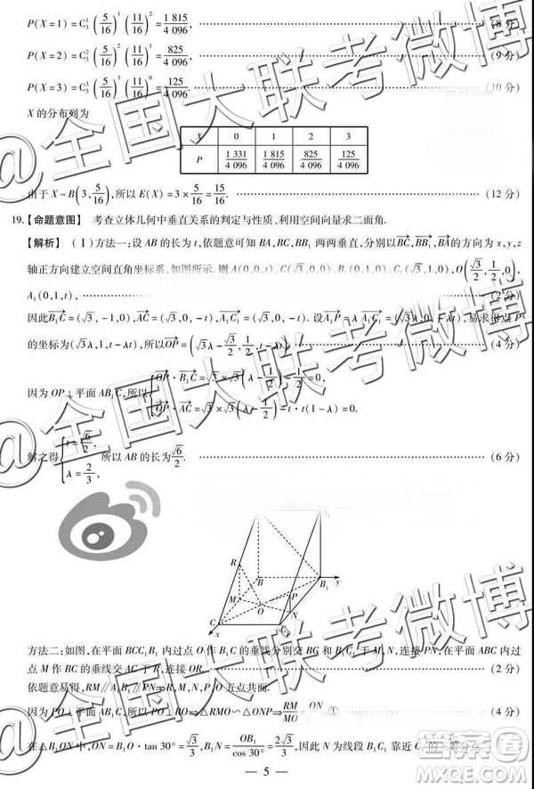 頂尖計劃2019屆高中畢業(yè)班第二次考試理數(shù)參考答案