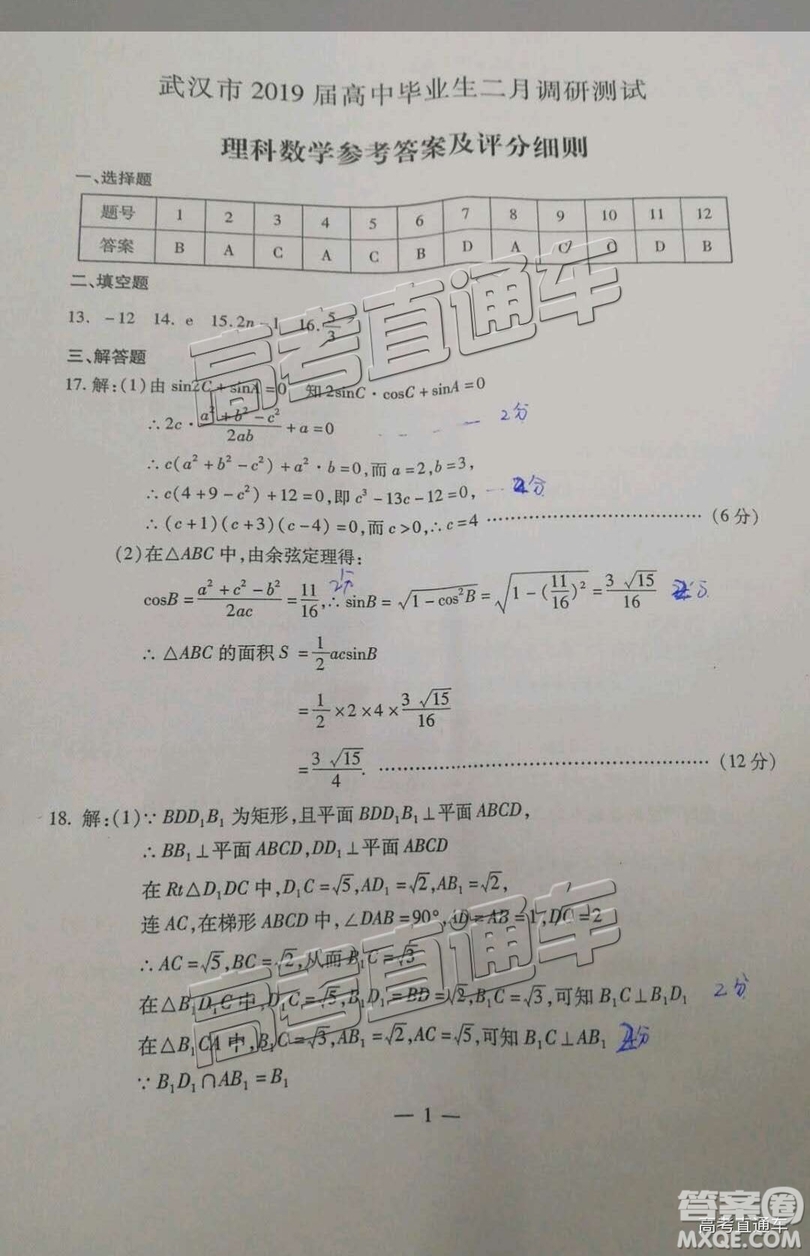 2019年武漢高三二月調(diào)考理數(shù)試題及參考答案