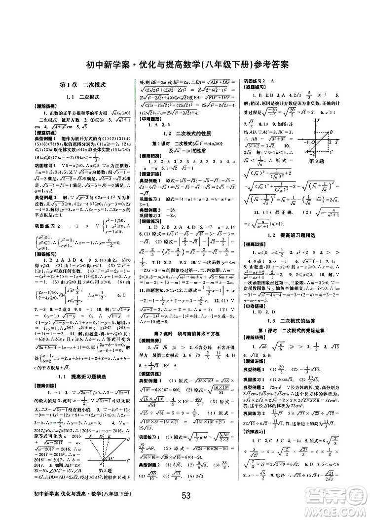 2019BBS初中新學案優(yōu)化與提高數(shù)學八年級下冊參考答案