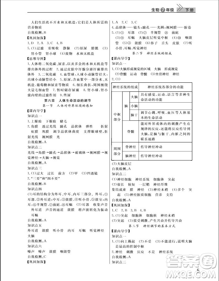 武漢出版社2019智慧學(xué)習(xí)課堂作業(yè)八年級(jí)生物下冊(cè)人教版答案